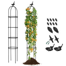 2-Pack Garden Obelisk Trellis for Climbing Plants