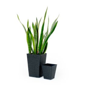 2-Pack Smart Self-watering Square Planter for Indoor and Outdoor - Hand Woven Wicker - Espresso