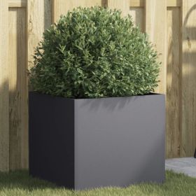 Planter Anthracite 16.5"x15.7"x15.4" Cold-rolled Steel