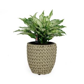 10.6" Self-watering Wicker Planter - Garden Decoration Pot - Beige - Round (Color: as Pic)