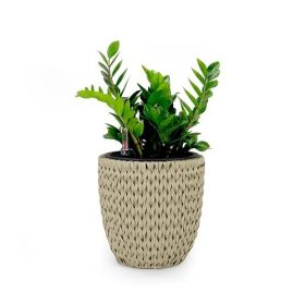 14.6" Self-watering Wicker Planter - Garden Decoration Pot - Beige - Round (Color: as Pic)